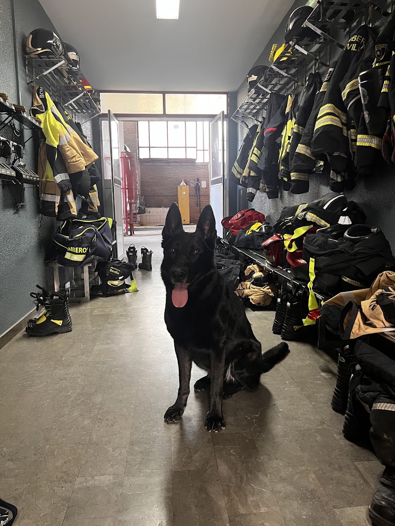 Clínica Veterinaria García Vallejo