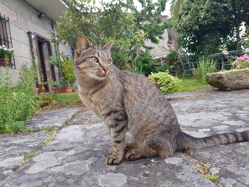 A Estación Centro Veterinario photo 4