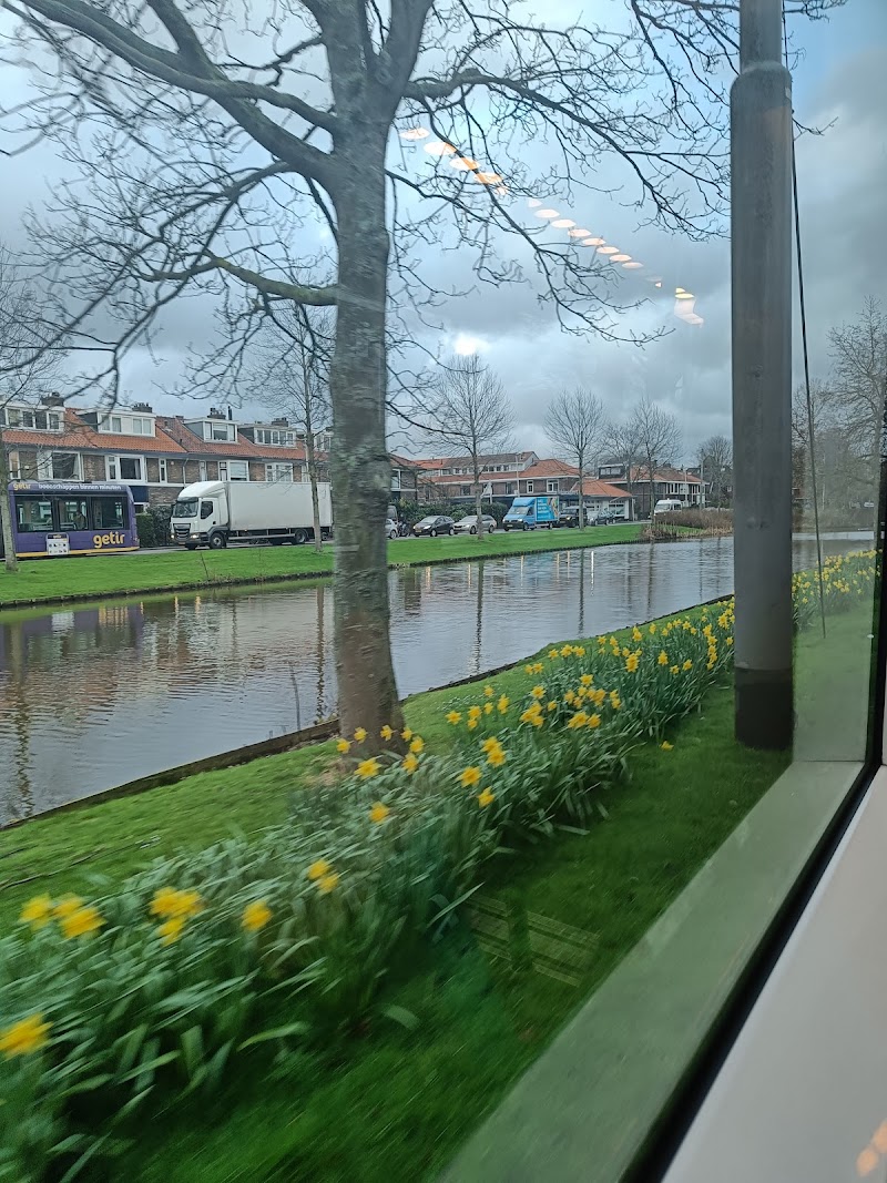 Molenlaan Hillegersberg