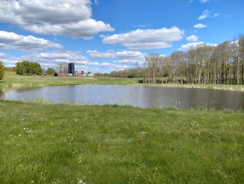 Campsite Disc Golf Course photo 3