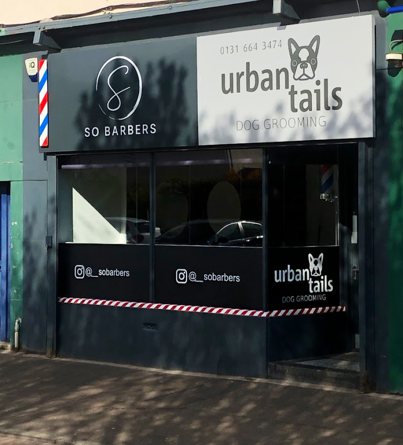 Urban Tails Dog Grooming