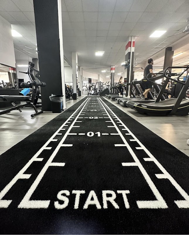 Enjoy Gym & Wellness