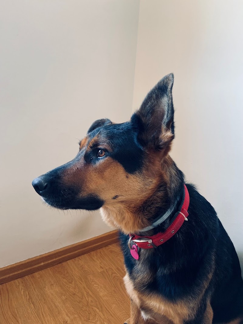 Clínica Veterinaria Argos