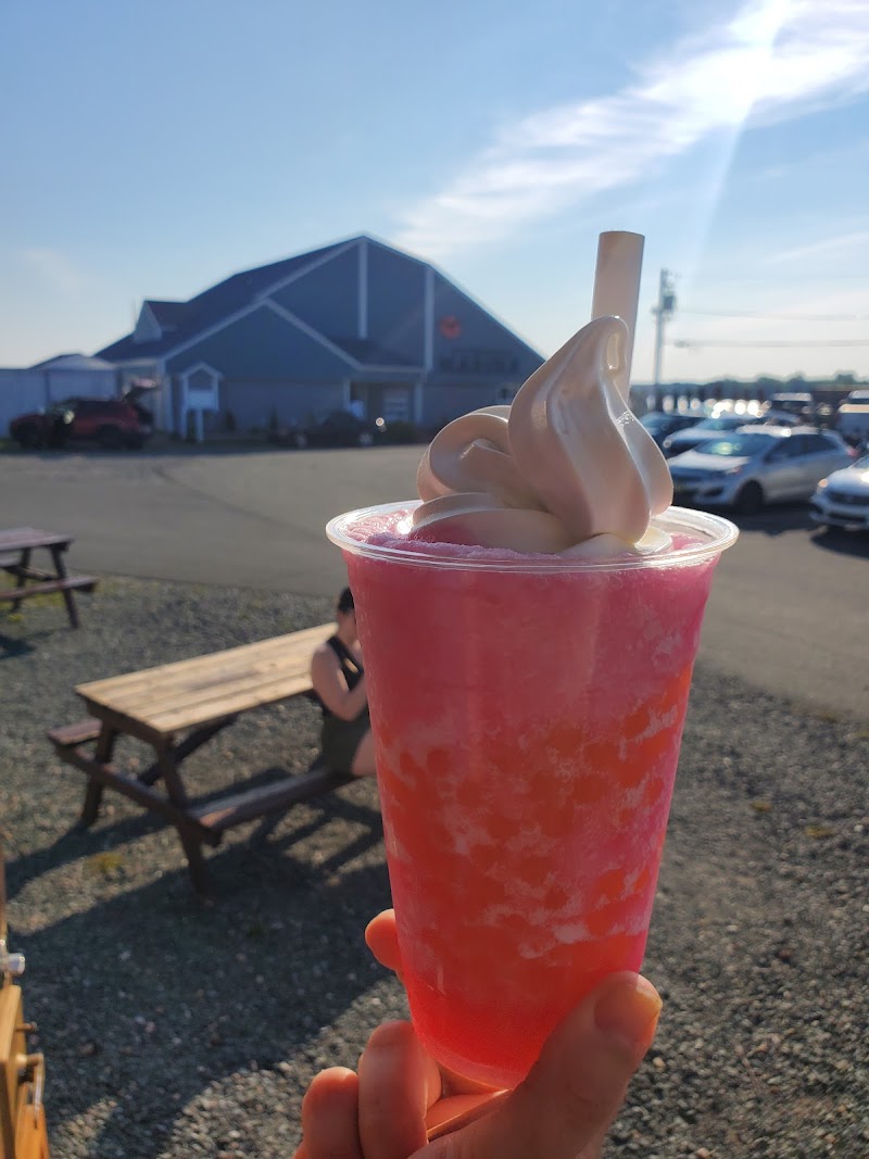 Singing Nomad Café photo 4