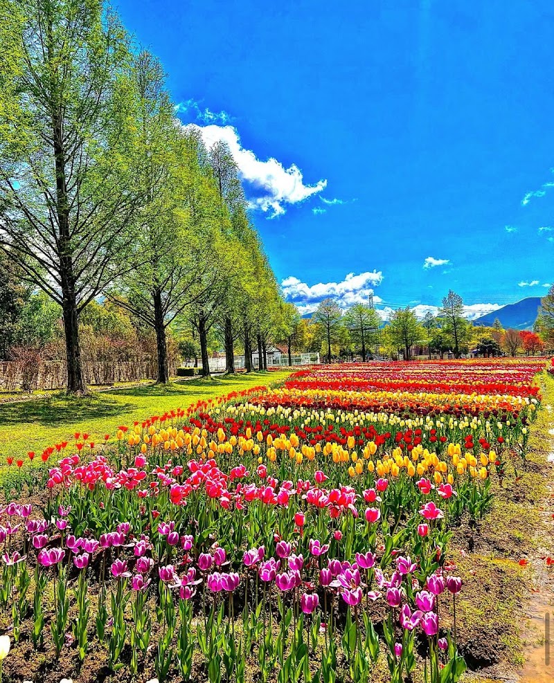 滋賀農業公園ブルーメの丘