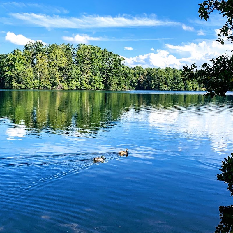 Lake Julian Park photo 4