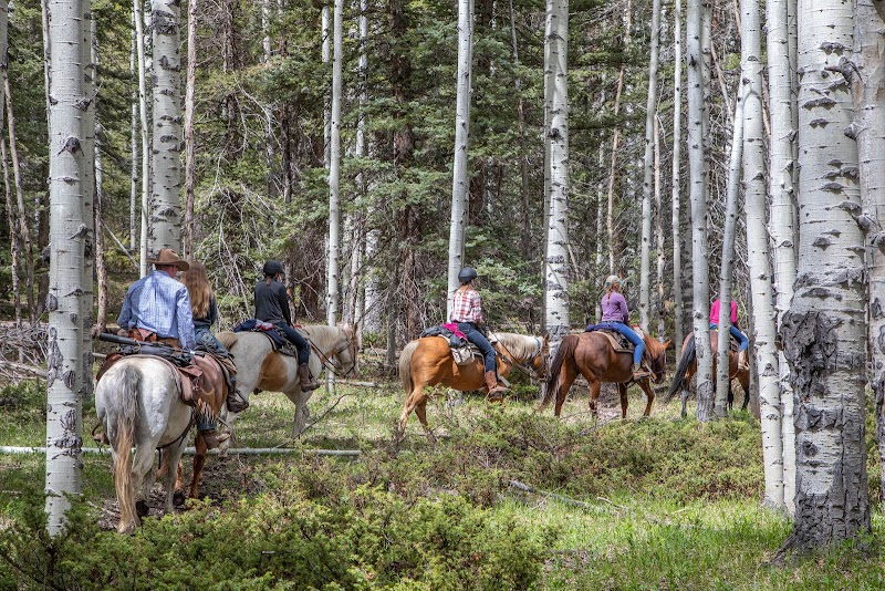 Rainbow Trout Ranch - Photo 5