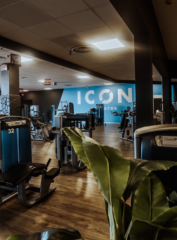 ICON Palestre Frosinone