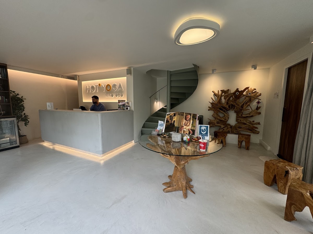 ENOSIS Yoga Teacher Training by Niko Geo