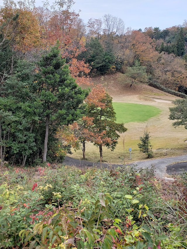 Kanagusuku Country Club - Photo 2