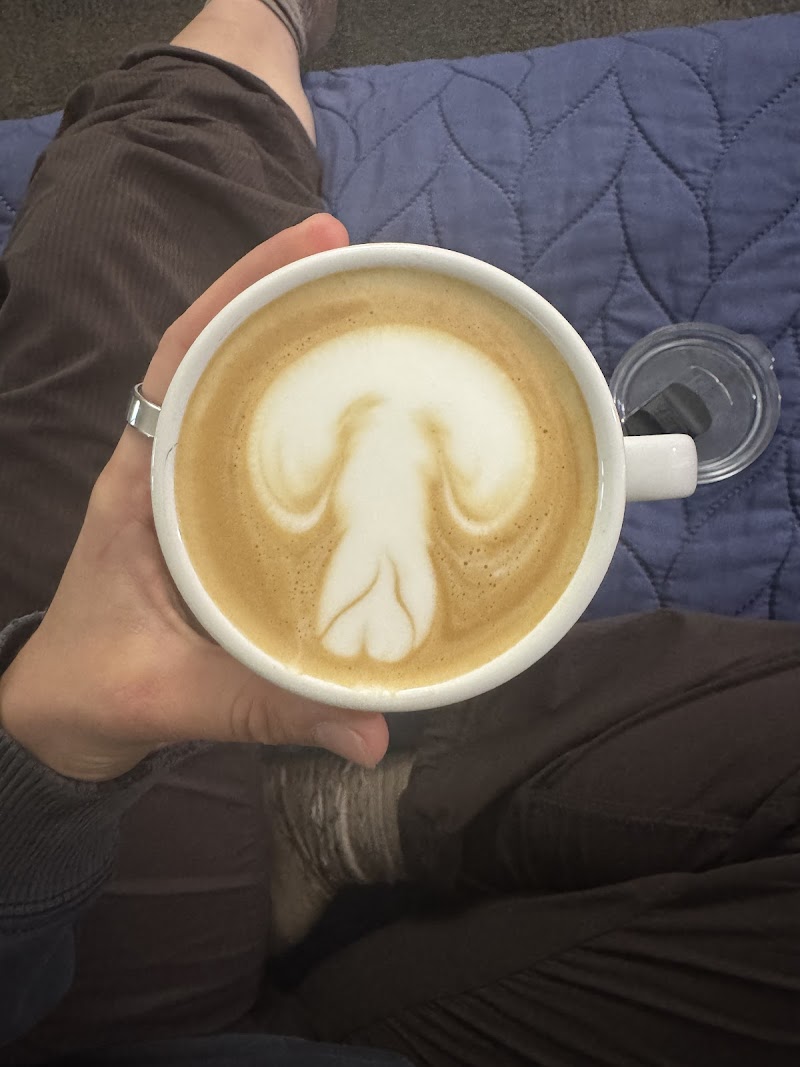 Boom Boom Beans photo 4