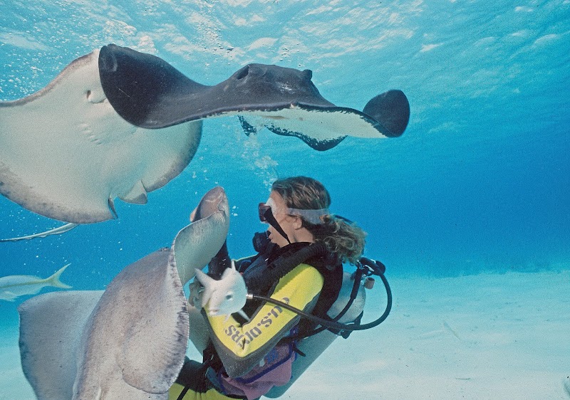 Deep Blue Divers photo 2