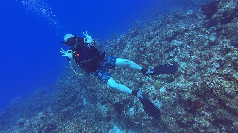 Deep Blue Divers
