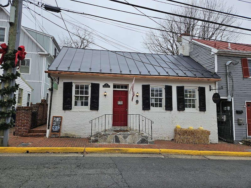 Shake & Bops Botanical Cafe photo 3