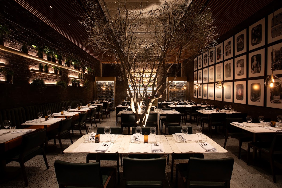 Osteria Zucco: Massas Frescas, Risotos, Carnes, Peixes, Sobremesas Moema SP in sao-paulo