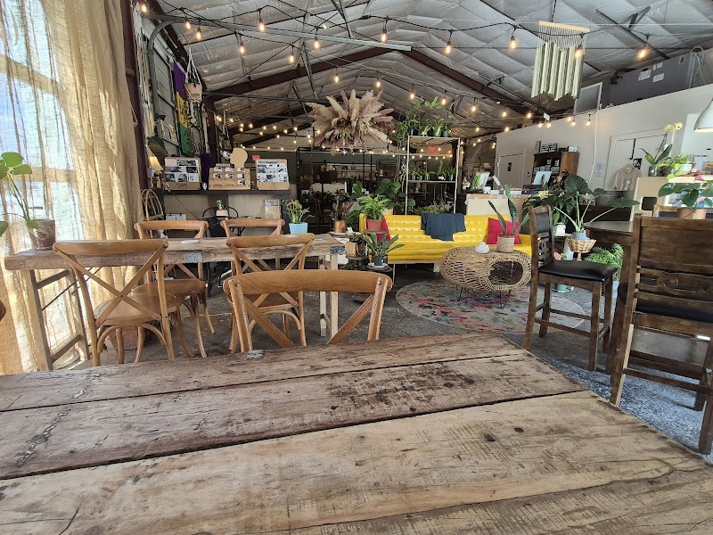 Coffeeweed Cottage photo 4