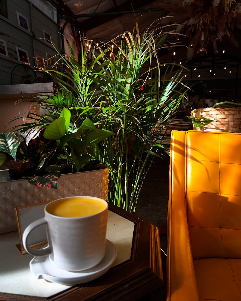 Coffeeweed Cottage photo 2