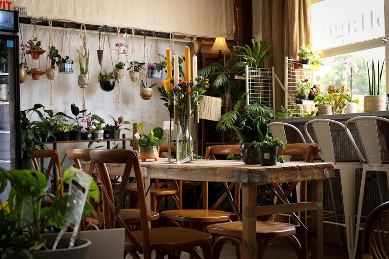 Coffeeweed Cottage photo 1