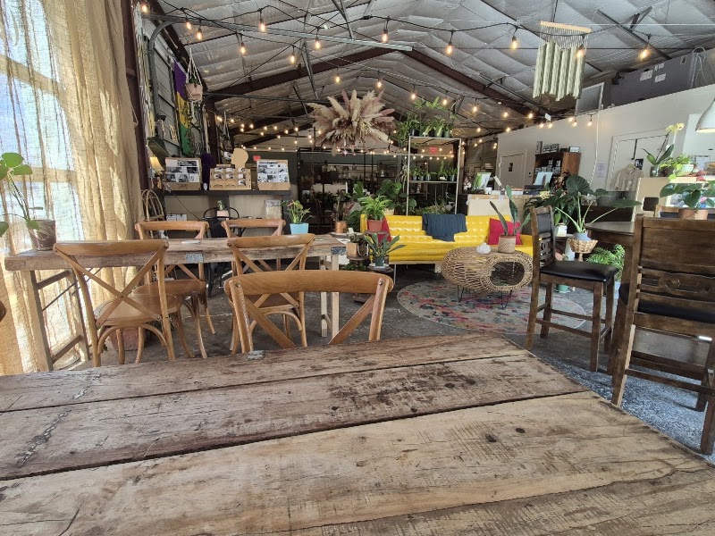 Coffeeweed Cottage photo 4