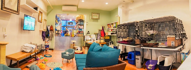 Good Home Pet Adoptions