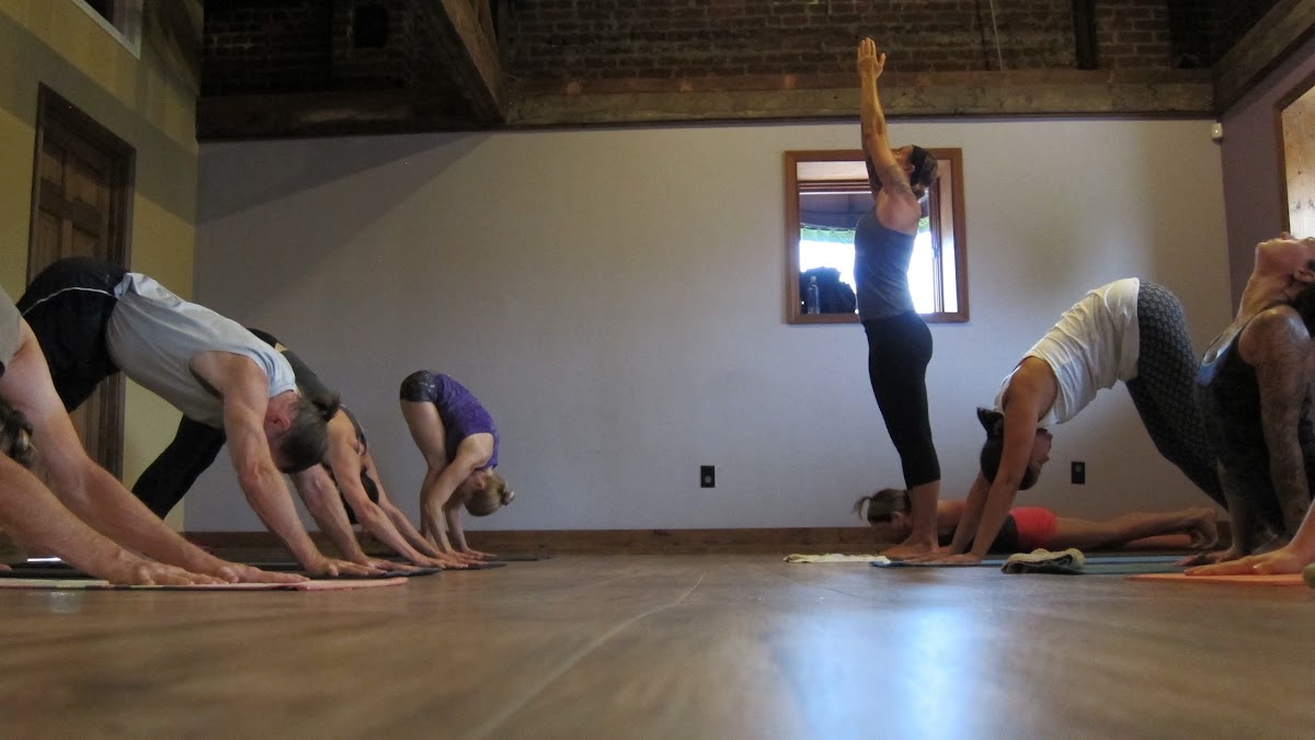 Ashtanga Yoga Asheville--The Mysore Room — 3