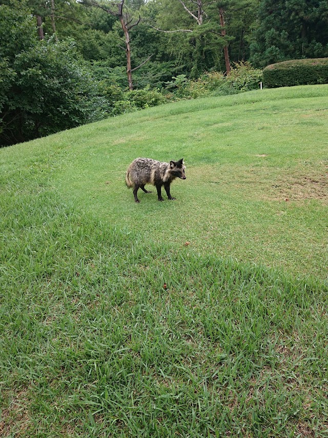 Golf Park Sakata - Photo 9