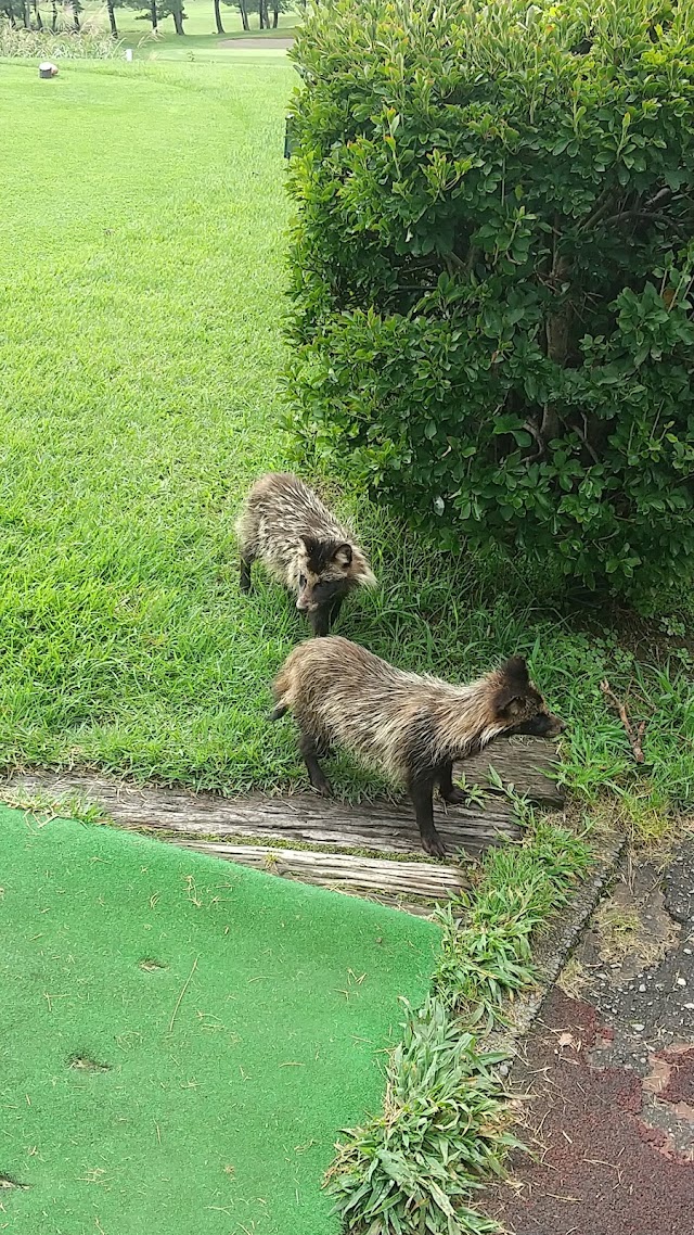 Golf Park Sakata - Photo 5