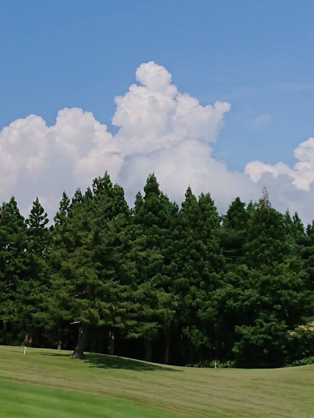 Golf Park Sakata - Photo 10