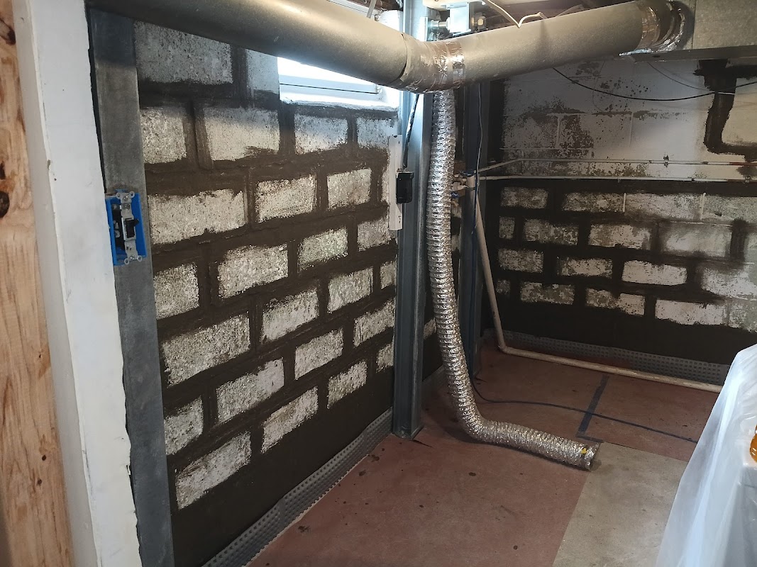 The Mold Man, LLC — photo