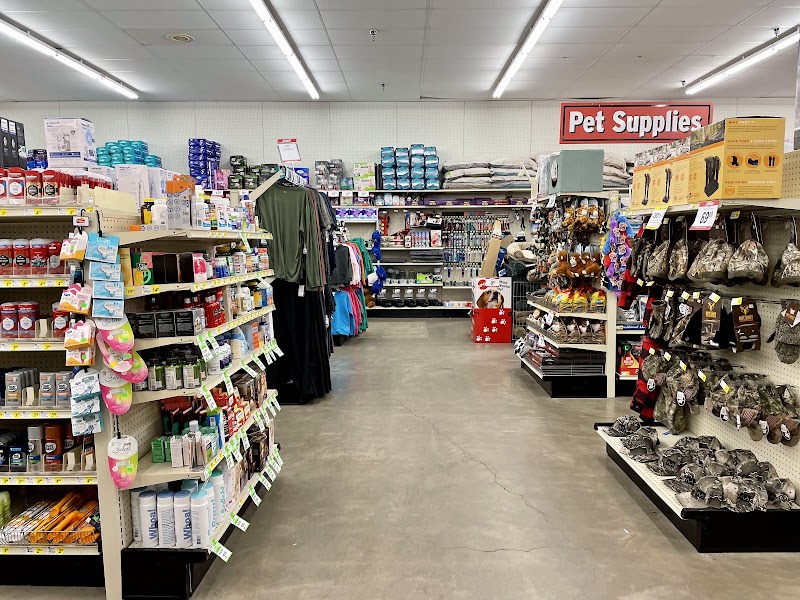 Bi-Mart #680 photo