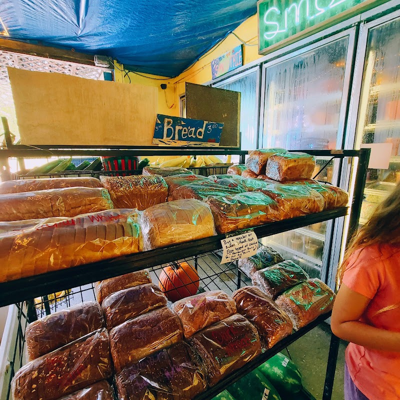 The Tomato Place photo 4