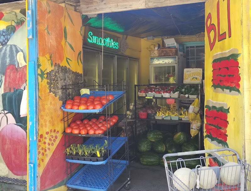 The Tomato Place photo 1