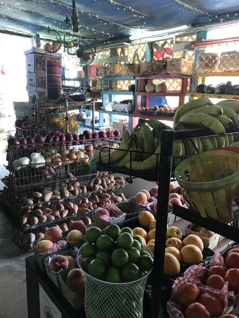 The Tomato Place photo 3