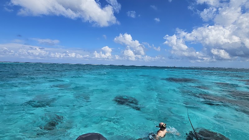 Captain Marvin's Watersports photo 3