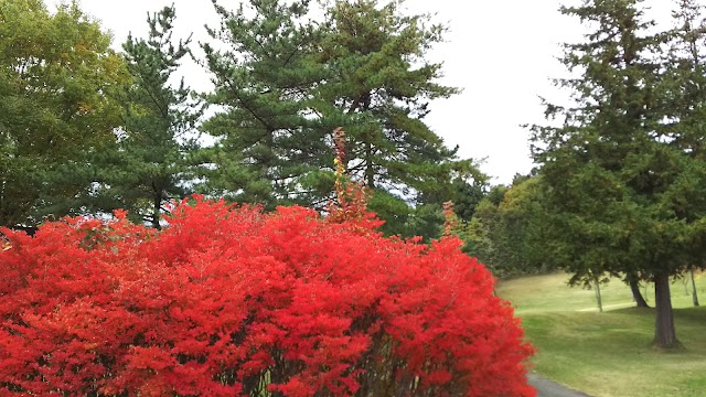 Minohara Country Club - Photo 6