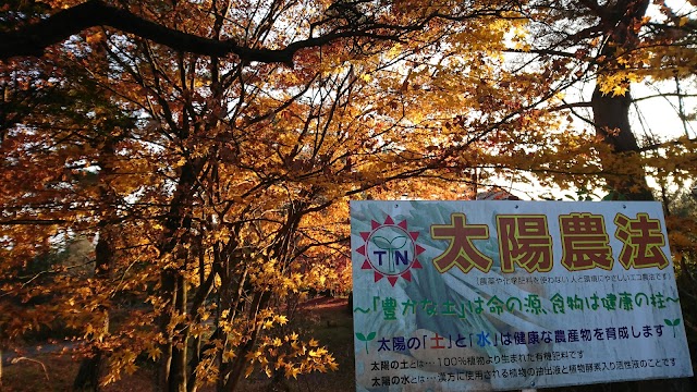 Minohara Country Club - Photo 5