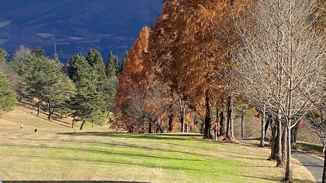 Minohara Country Club - Photo 10