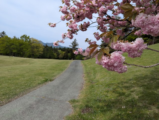 Minohara Country Club - Photo 7