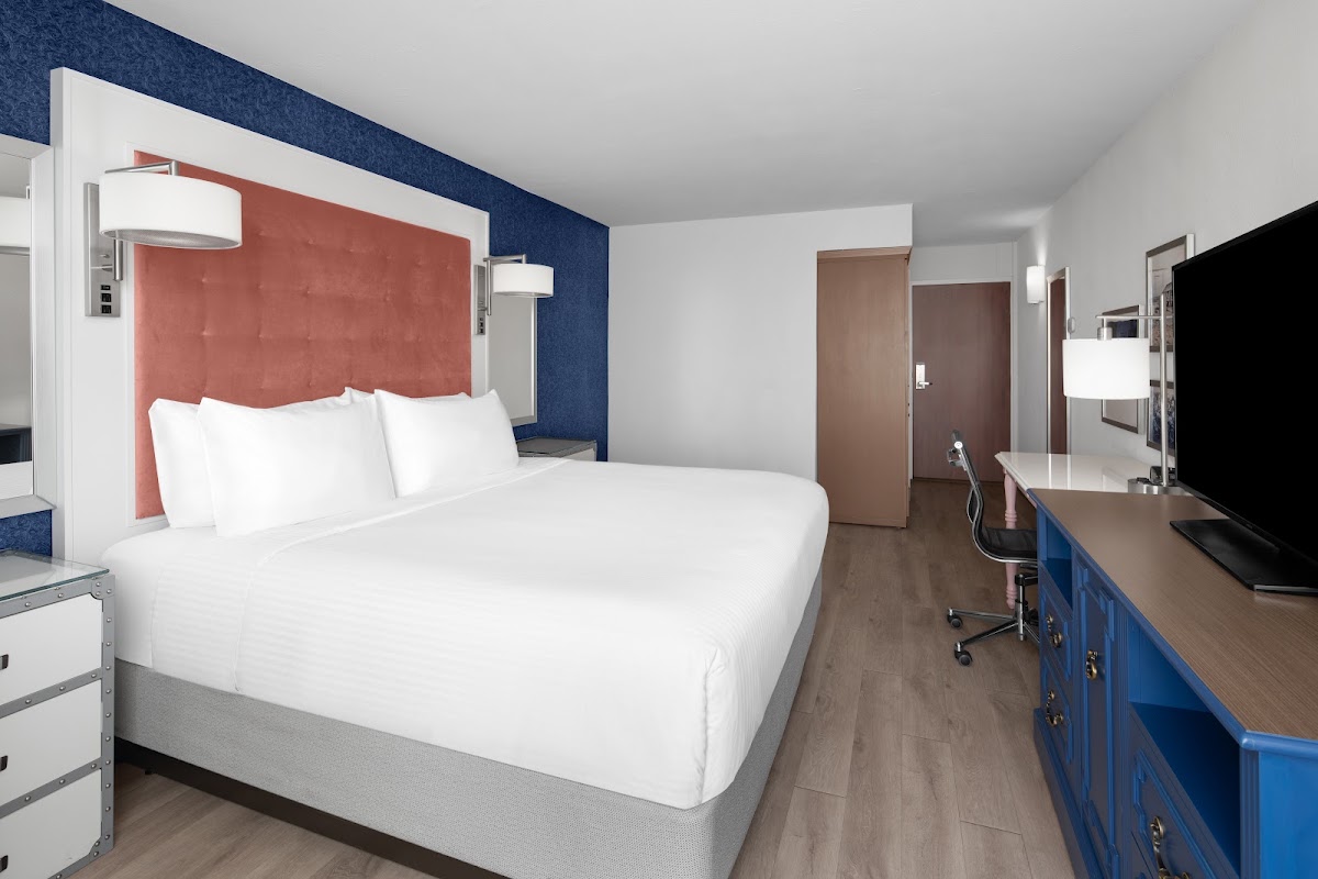 Hotel Indigo Mount Pleasant, dog-friendly hotel, photo 4
