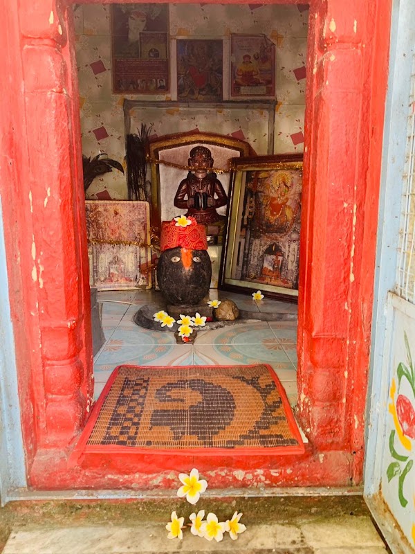 Osho Meditation Centre Chandigarh