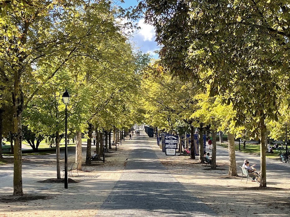 Parc des Bastions fotoğraf 1