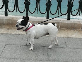 Tàrraco Veterinària