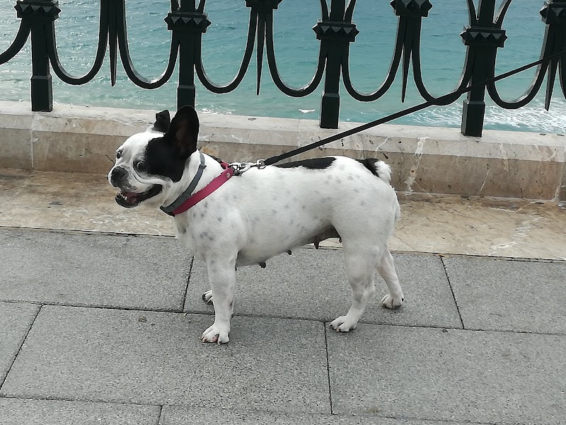 Tàrraco Veterinària