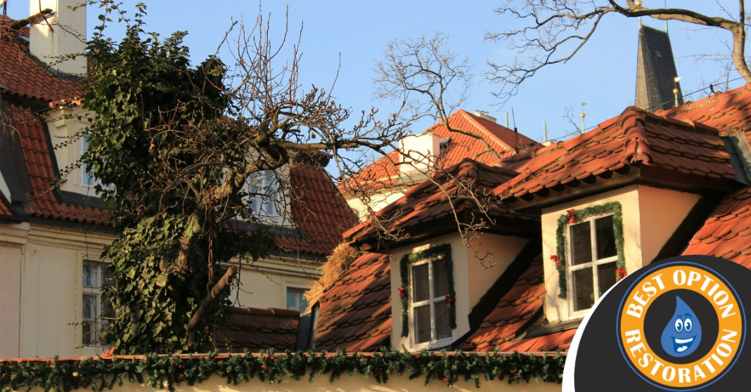 Best Option Restoration — photo