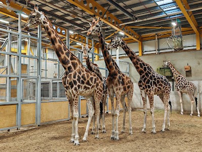 Edinburgh Zoo