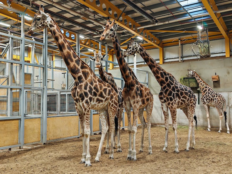 Edinburgh Zoo