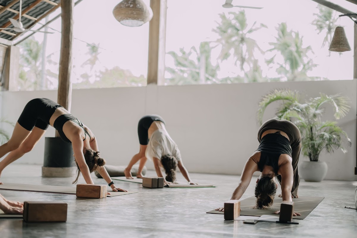 Barefoot Yoga School — 4