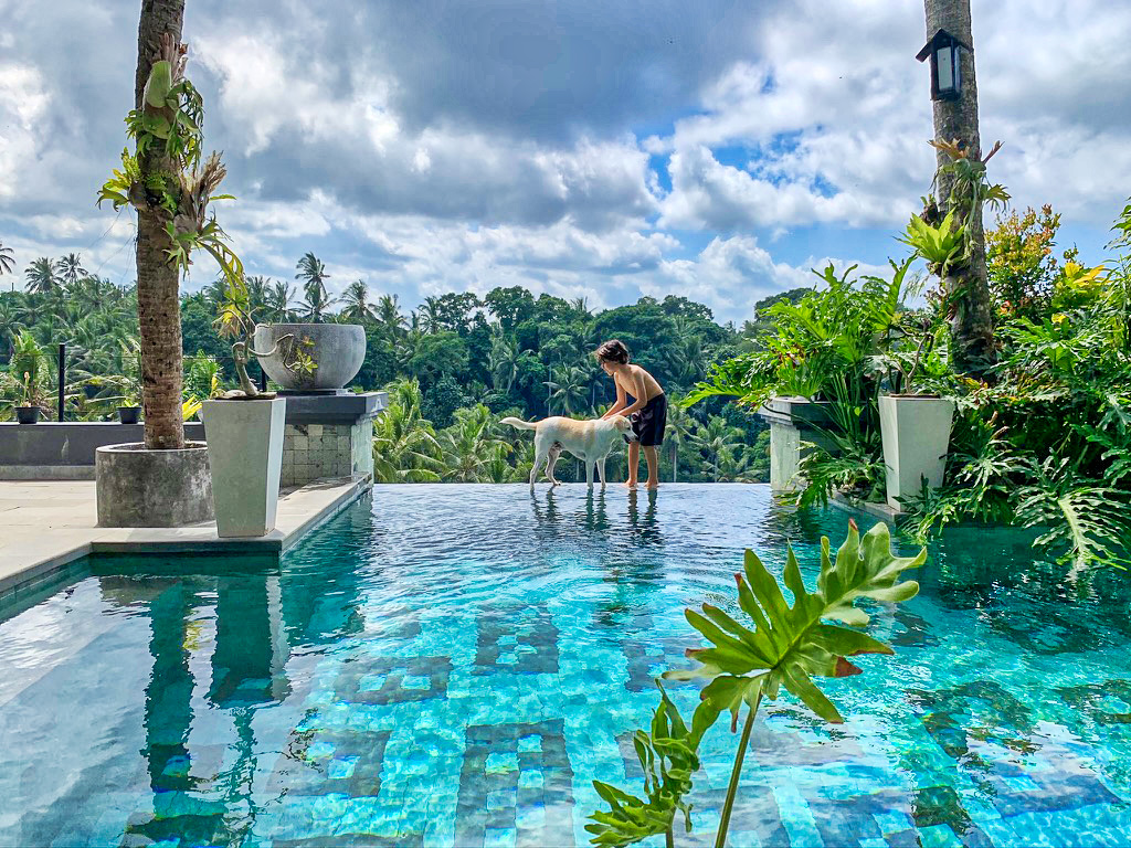 The Bodhi Leaf Wellness Resort — 4