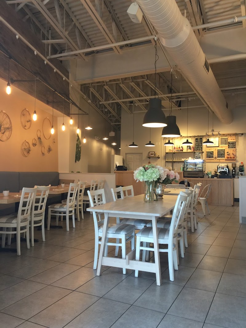 Ocha Thai Kitchen and Cafe photo 1