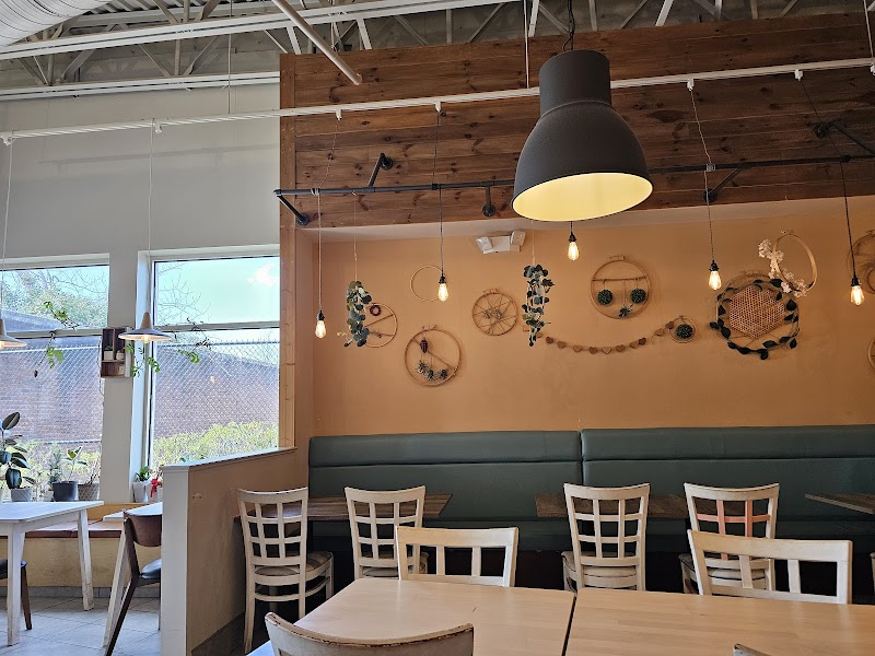 Ocha Thai Kitchen and Cafe photo 4